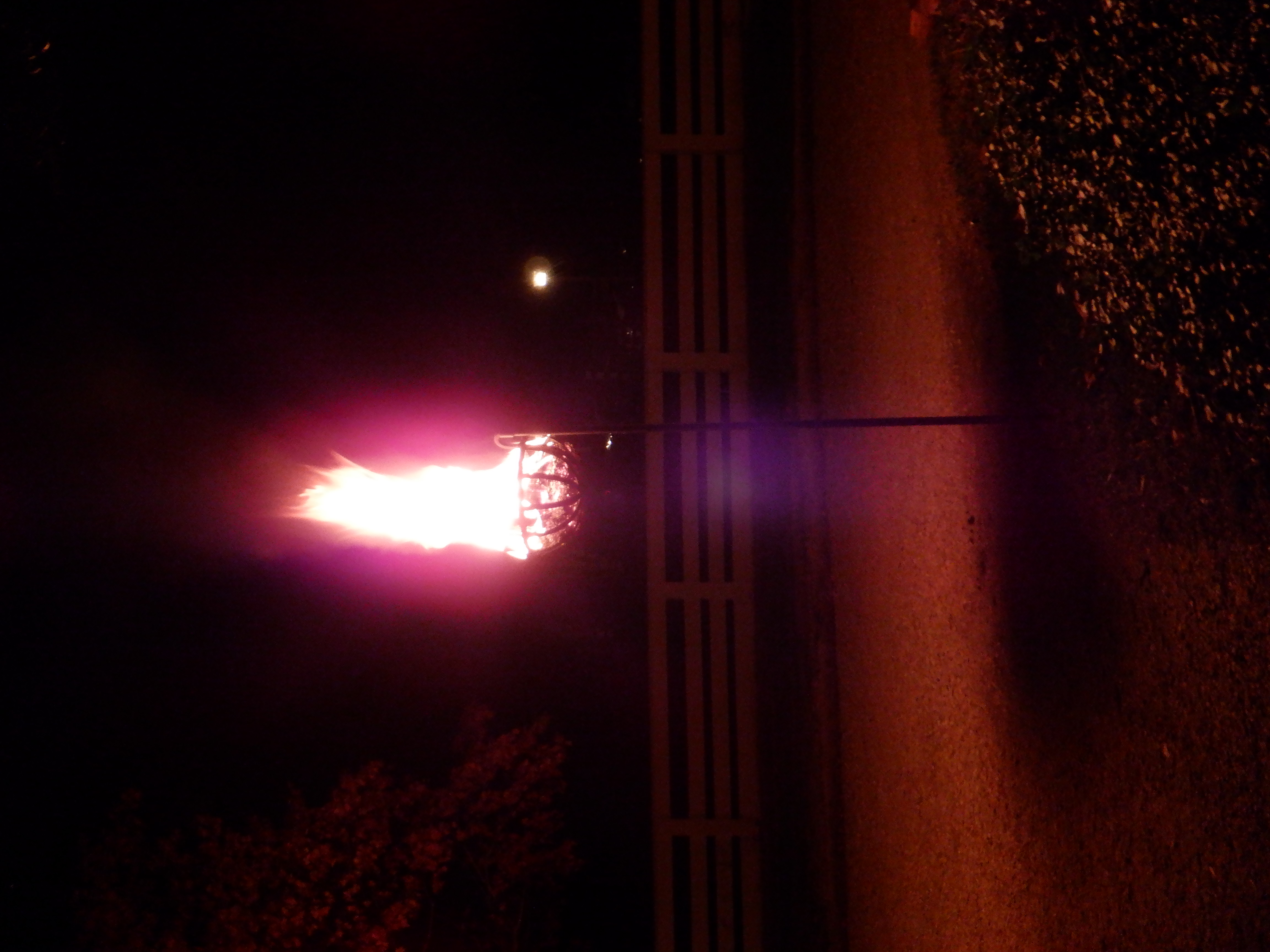 ./2019/15 - Colonial Williamsburg/DSCF0604.JPG